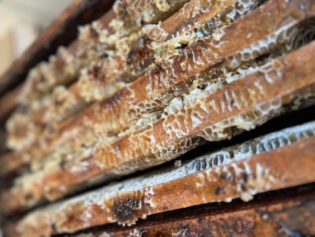 Cooperativa Apícola Las Abejas