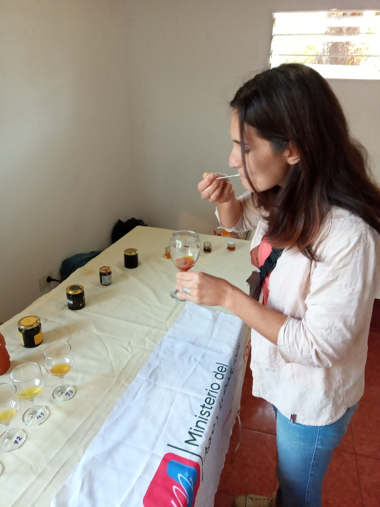 Fiesta de la Meliponicultura 