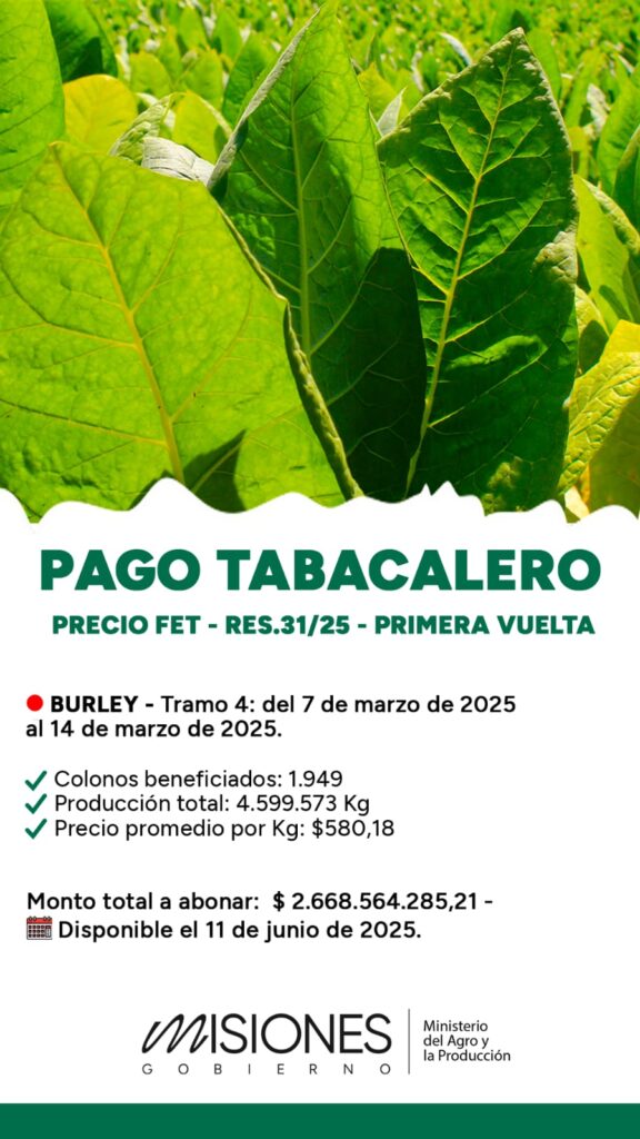 Tabaco