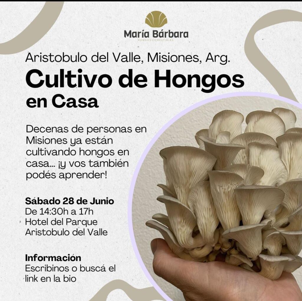 hongos, gírgolas