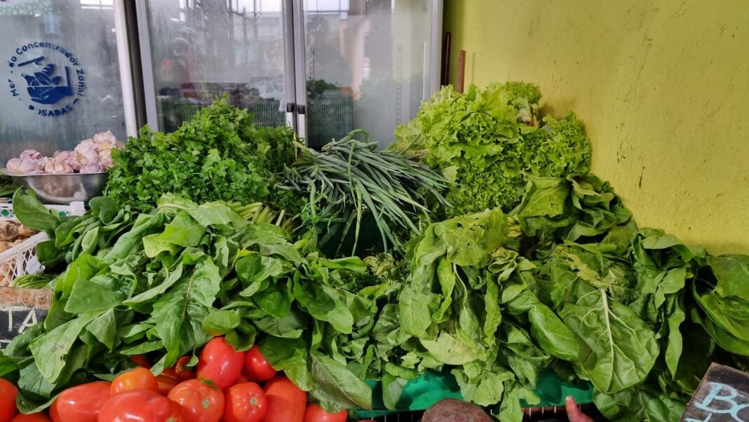 Verduras de estación- Mercado Concentrador