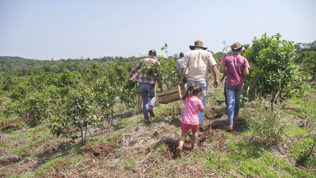 Fundación Vida Silvestre