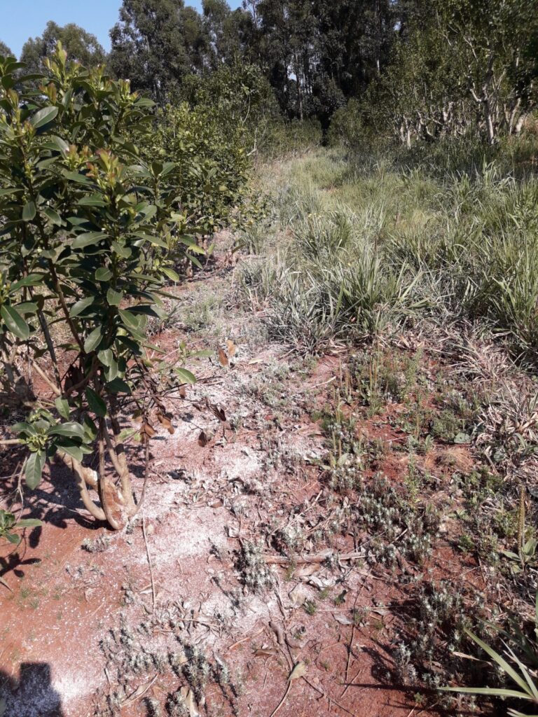 conservación del suelo
