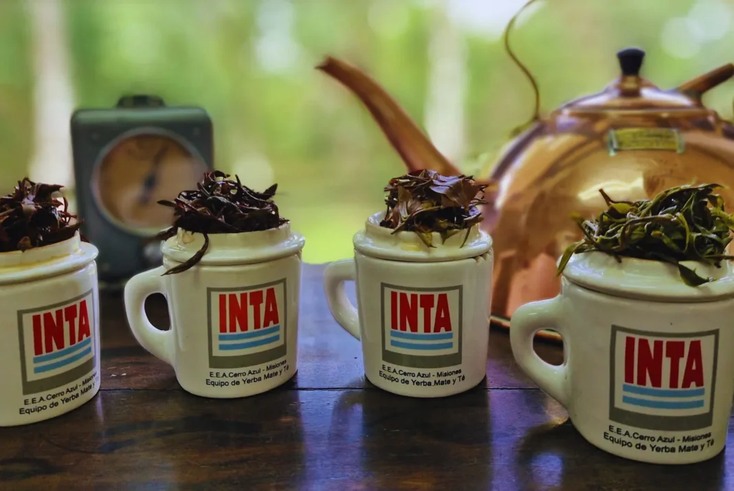 Té