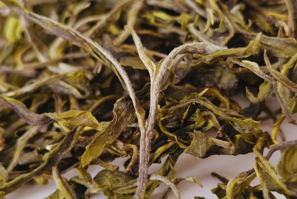 Té