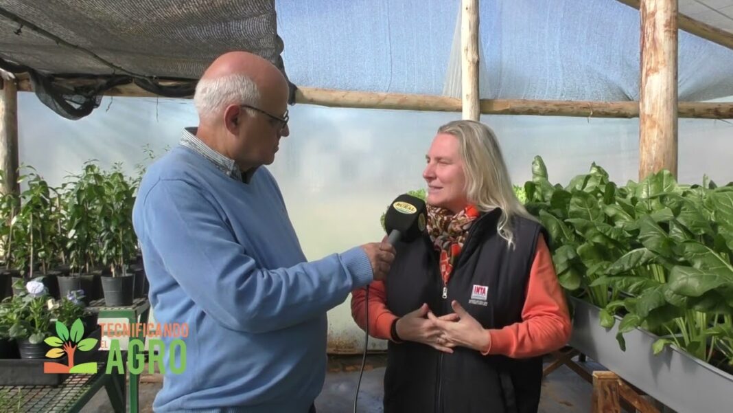 cultivo en canaletas