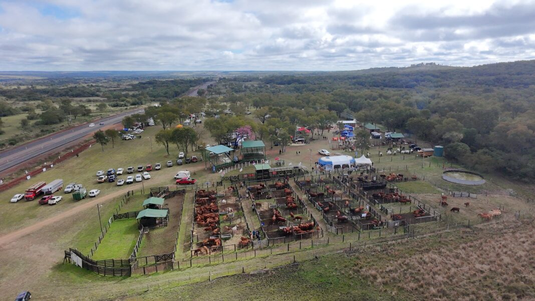 Expo Rural de Misiones