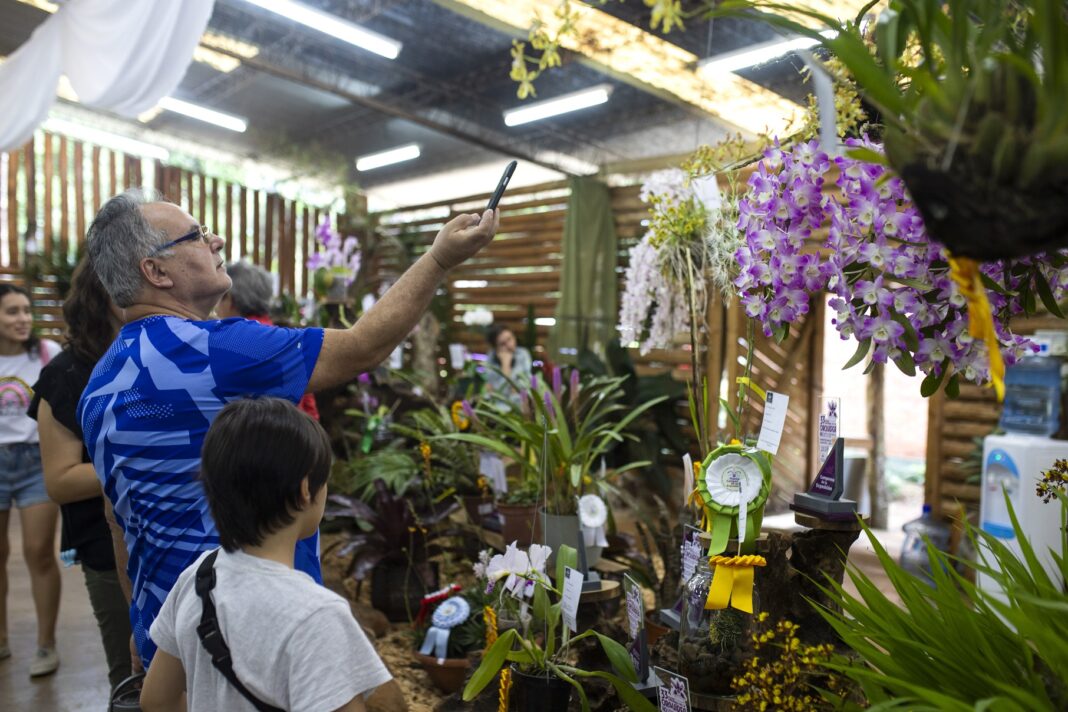 Montecarlo florece: llega la Fiesta Nacional de la Orquídea y la Provincial de la Flor