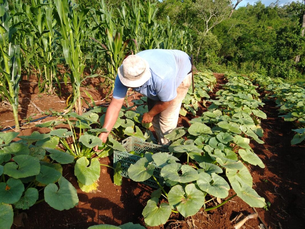 chacras multiproductivas