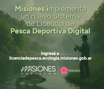 Newspaper WordPress Theme