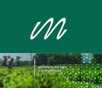 Newspaper WordPress Theme