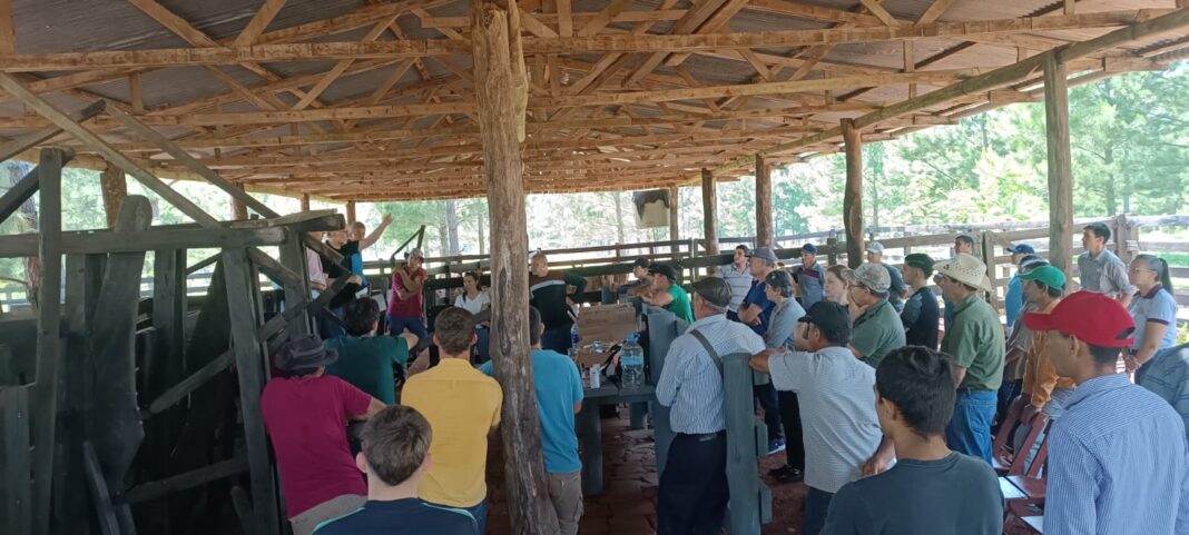 Asociación Ganadera de Mojón Grande