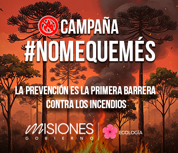 Newspaper WordPress Theme