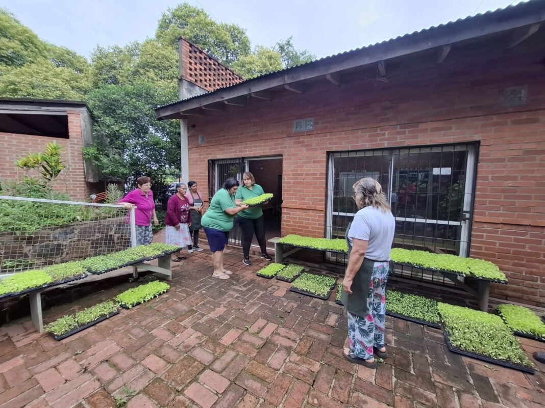 Feria Franca de Eldorado