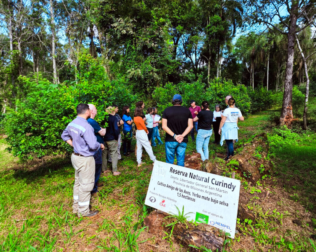 producción orgánica