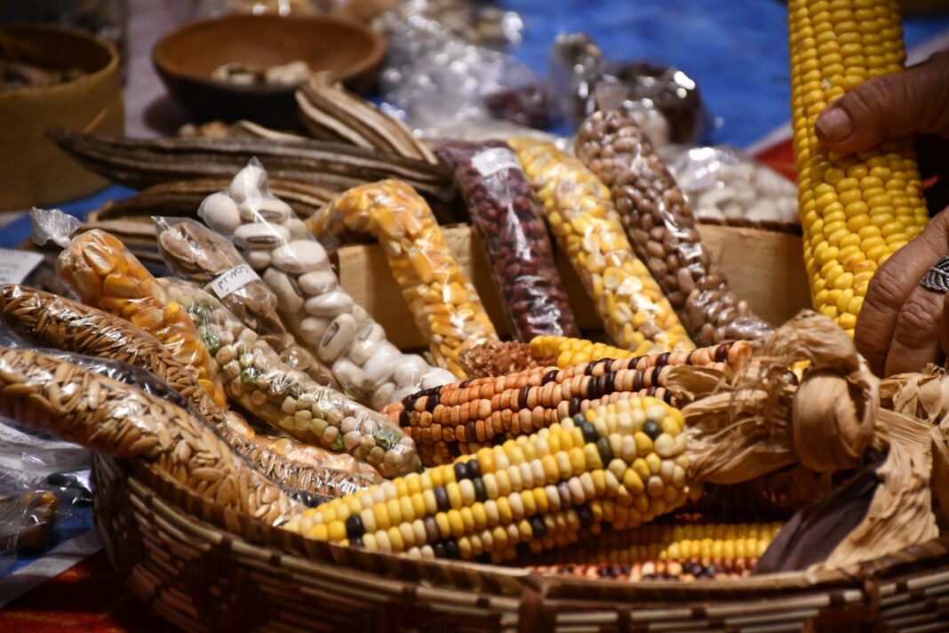 semillas y biodiversidad