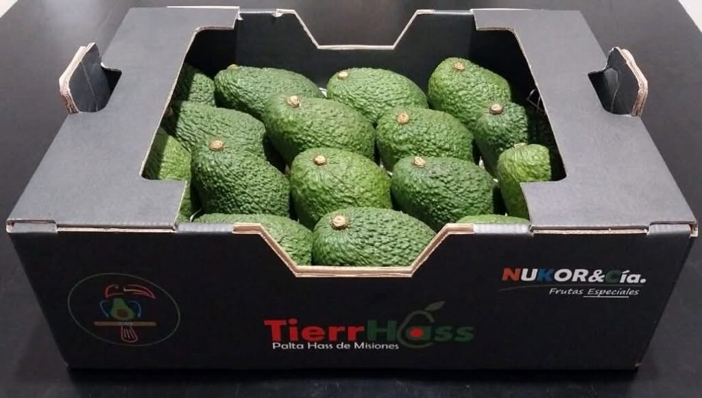 palta hass